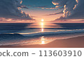 beautiful sunset over the sea 113603910