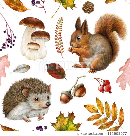 Autumn forest animals, natural elements seamless pattern. Watercolor illustration. Hand drawn squirrel, hedgehog, mushrooms, autumn fallen leaves elements. Warm colors seamless pattern decor 113603977