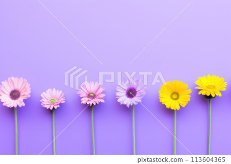 Ai generated Creative set of bright summer flowers in a row with copy space on purple background. 113604365