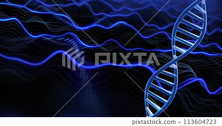 Image of dna strand spinning with copy space and blue light trails over black background Image of dna strand spinning with copy space and blue light trails over black background 113604723