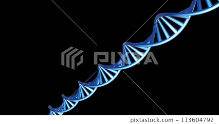 Image of dna strand spinning with copy space over black background 113604792