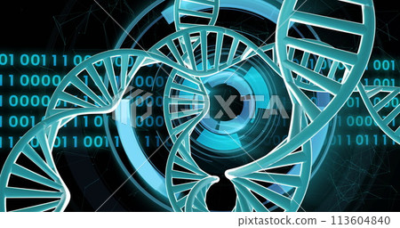 Image of dna strands spinning with binary coding data processing over black background 113604840