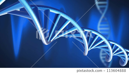 Image of dna strands spinning with glowing light trails over dark background Image of dna strands spinning with glowing light trails over dark background 113604888