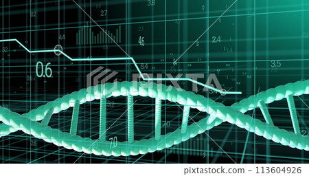 Image of dna strand spinning over data processing on black background Image of dna strand spinning over data processing on black background 113604926