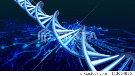 A digital illustration of a DNA double helix in blue hues 113604930