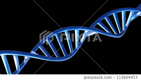 Image of dna strand spinning with copy space over black background Image of dna strand spinning with copy space over black background 113604953
