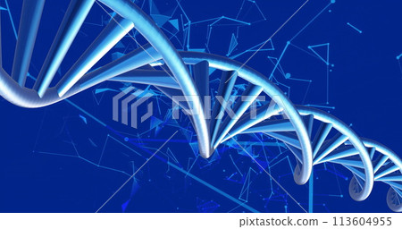 Image of dna strands spinning with glowing light trails over blue background Image of dna strands spinning with glowing light trails over blue background 113604955