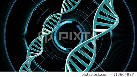 Image of dna strands spinning with data processing over black background Image of dna strands spinning with data processing over black background 113604957
