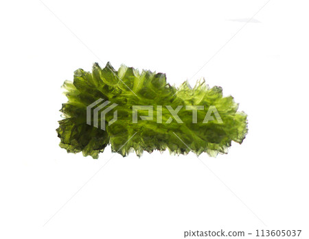 moldavite mineral isolated moldavite mineral isolated 113605037