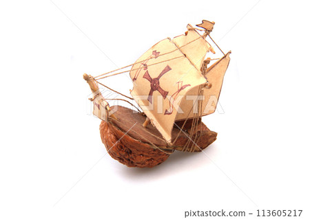 boat from nut isolated 113605217
