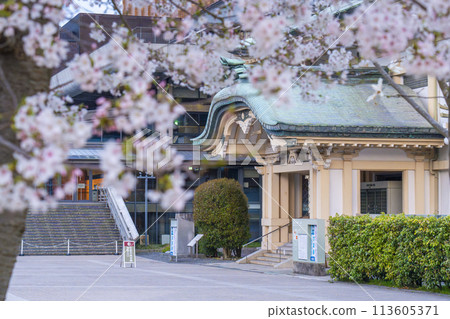 清晨的京都市立美術館分館(京都會館) 清晨的京都市立美術館分館(京都會館) 113605371