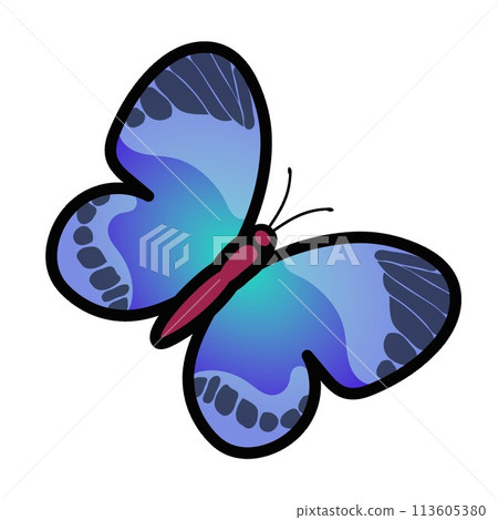 Butterfly illustration 113605380