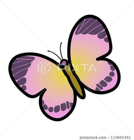 Butterfly illustration 113605381
