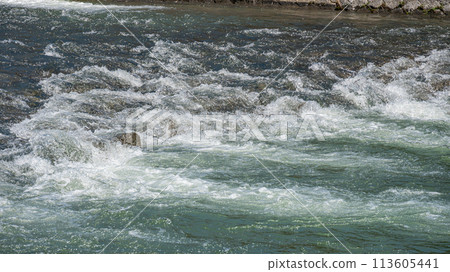 鴨川急流 113605441