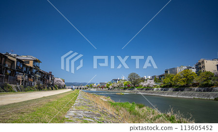 春天的京都鴨川風景 春天的京都鴨川風景 113605452