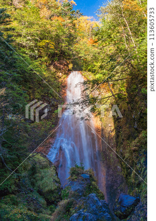 (Nagano Prefecture) Sanbontaki Falls at Norikura Highlands where autumn leaves begin to fall 113605733