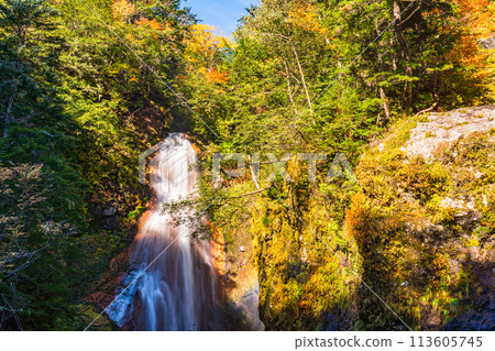 (Nagano Prefecture) Sanbontaki Falls at Norikura Highlands where autumn leaves begin to fall 113605745