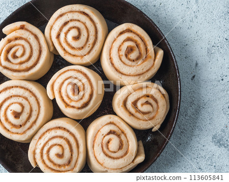 Vegan cinnamon rolls raw dough, top view 113605841