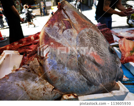 Fish in open seamarket Fish in open seamarket 113605930