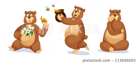 Cute big bear with brown fluffy fur 113606003