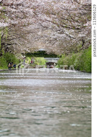 Kyoto Fushimi 10 Ishi 113606129