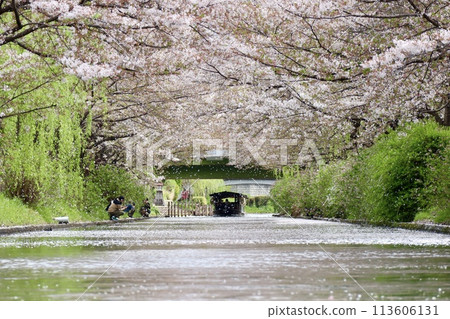 京都伏見10石井 113606131