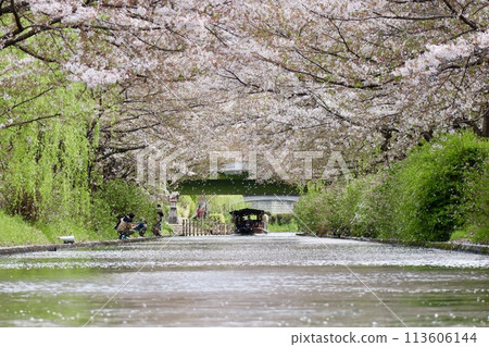 Kyoto Fushimi 10 Ishi 113606144