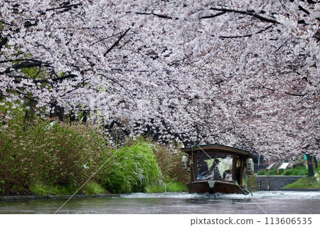 Kyoto Fushimi 10 Ishi 113606535