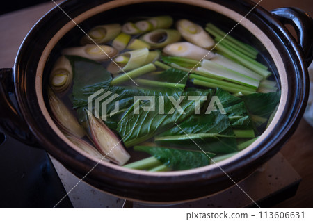 Vegetables for shabu-shabu (Komatsuna, myoga, green onions) 113606631