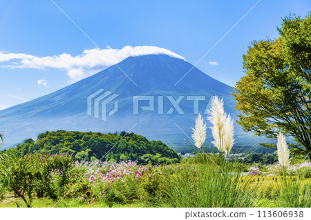 Mount Fuji in early autumn ~ Kawaguchiko Oishi Park ~ 113606938