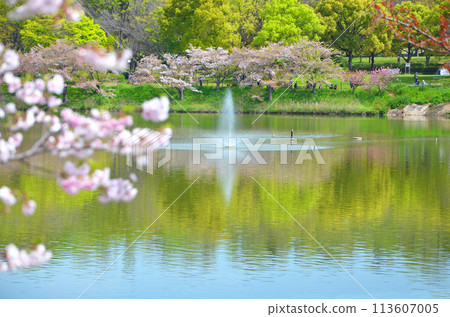 櫻花噴泉（大阪鶴見綠地） 113607005