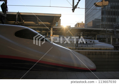 Shinkansen stopping at Tokyo station 113607030