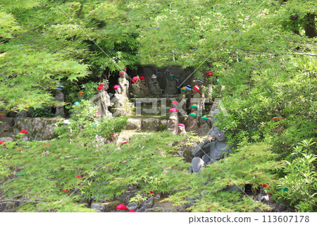 Jizo先生在秋天的落葉 Jizo先生在秋天的落葉 113607178