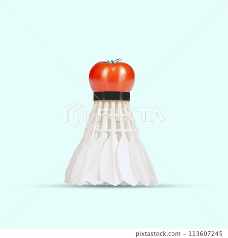 Contemporary art collage. Shuttlecock with tomato on top. symbolizing athleticism and proper nutrition. Contemporary art collage. Shuttlecock with tomato on top. symbolizing athleticism and proper nutrition. 113607245