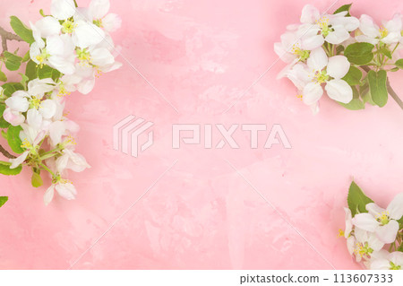 a branch of spring blossoming apple tree on a pink background. a branch of spring blossoming apple tree on a pink background. 113607333