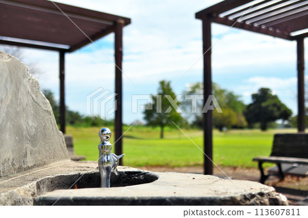 Bench and lattice sunshade in a sunny deserted green park 113607811