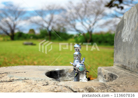 陽光明媚的廢棄綠色公園裡的飲水龍頭 113607816