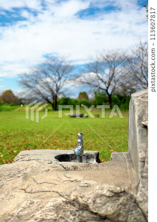 A drinking faucet in a sunny, deserted green park A drinking faucet in a sunny, deserted green park 113607817