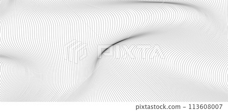 vector Illustration of the pattern of black lines on white background 113608007