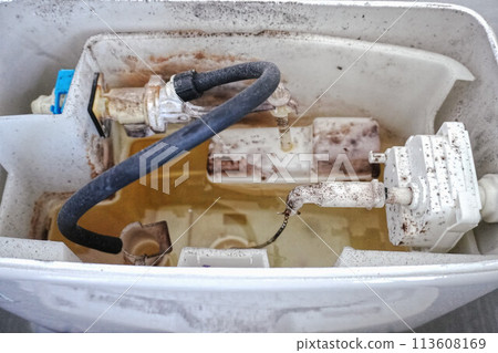 Inside of a Western-style toilet tank before cleaning Inside of a Western-style toilet tank before cleaning 113608169