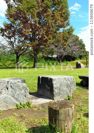 Bench and stone hearth in a sunny, deserted green park 113608679