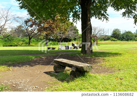 陽光明媚的廢棄綠色公園的長凳 113608682