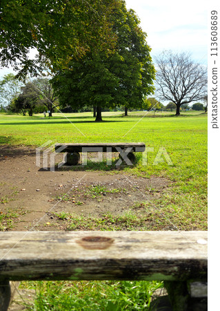 陽光明媚的廢棄綠色公園的長凳 陽光明媚的廢棄綠色公園的長凳 113608689
