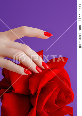 Classic red nails with red rose flower . Red Classic red nails with red rose flower . Red 113608734