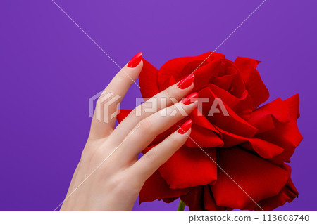 Classic red nails with red rose flower . Red 113608740