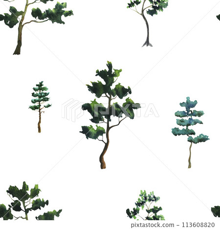 Pine tree watercolor seamless pattern, minimal style, side view. Fir tree. Hand drawn watercolour illustration, isolated on white background. Environment and ecology. Tall green conifer plants. 113608820