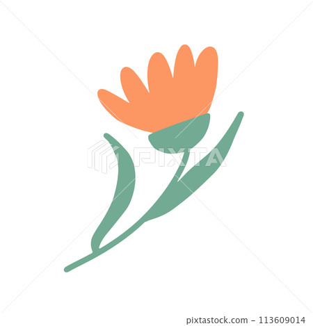 Colorful floral doodle illustration in a trendy style Colorful floral doodle illustration in a trendy style 113609014