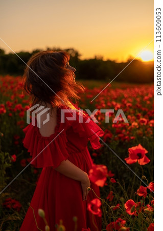 Woman poppy field red dress sunset. Happy woman in a long red dress in a beautiful large poppy field. Blond stands with her back posing on a large field of red poppies Woman poppy field red dress sunset. Happy woman in a long red dress in a beautiful large poppy field. Blond stands with her back posing on a large field of red poppies 113609053