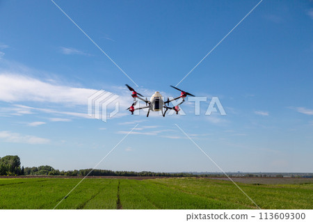 Agriculture drone fly to sprayed fertilizer on the fields. Industrial agriculture and smart farming Agriculture drone fly to sprayed fertilizer on the fields. Industrial agriculture and smart farming 113609300