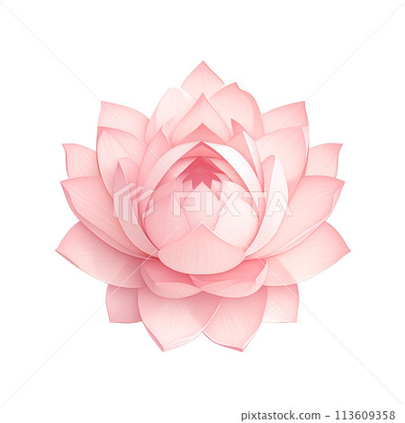 Pink lotus flower with a layered, symmetrical design. Transparent background 113609358